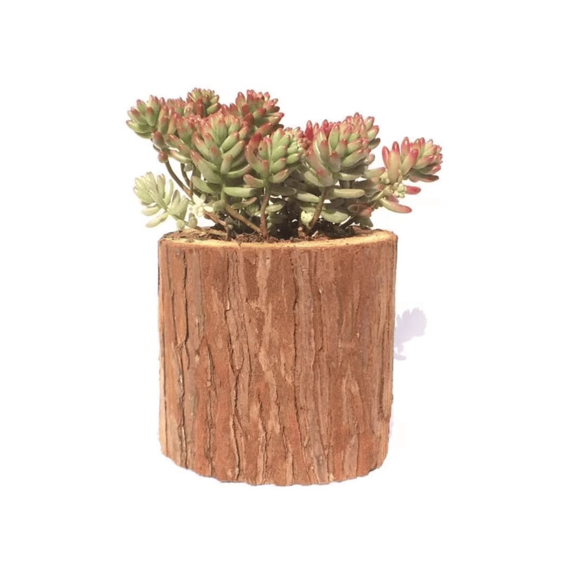 Raw wood bark, iron sheet, natural tree stump, flowerpot