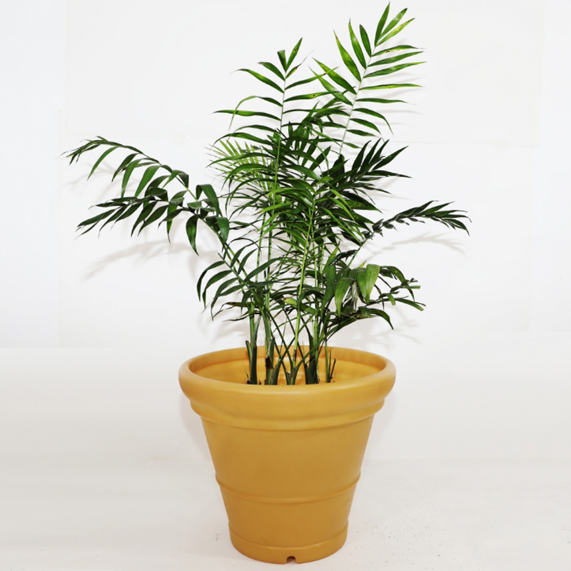 HF-Y-φ500*425*280mm LLDPE Rotational Molding Flower Pot